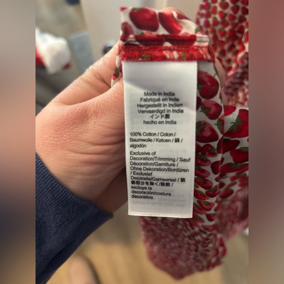 Jcrew strawberry dress / coverup XL bnwt - Picture 5 of 5